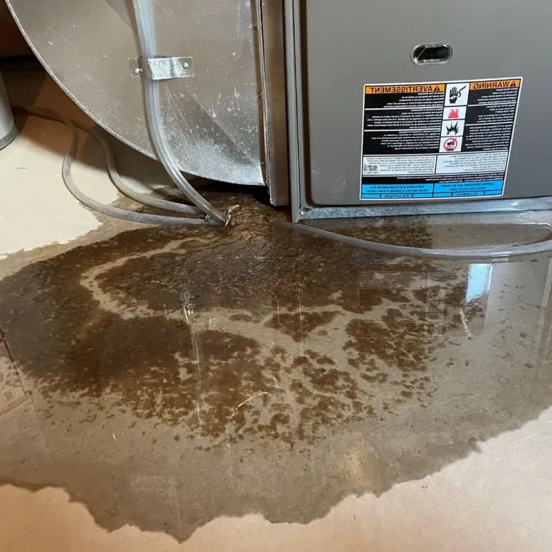 Pipe Burst and Leak Restoration in West Hurley, NY